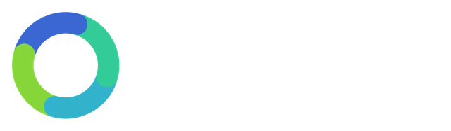 Synergy logo